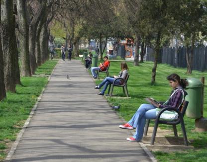 Rezultate preliminarii la recensământ: În Oradea sunt doar 183.123 de locuitori